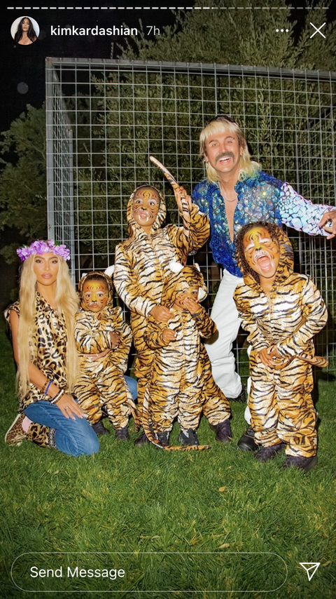 kim and her kids posing in their tiger king costumes