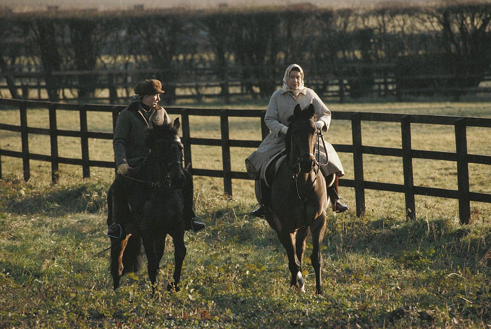 princess anne royal family