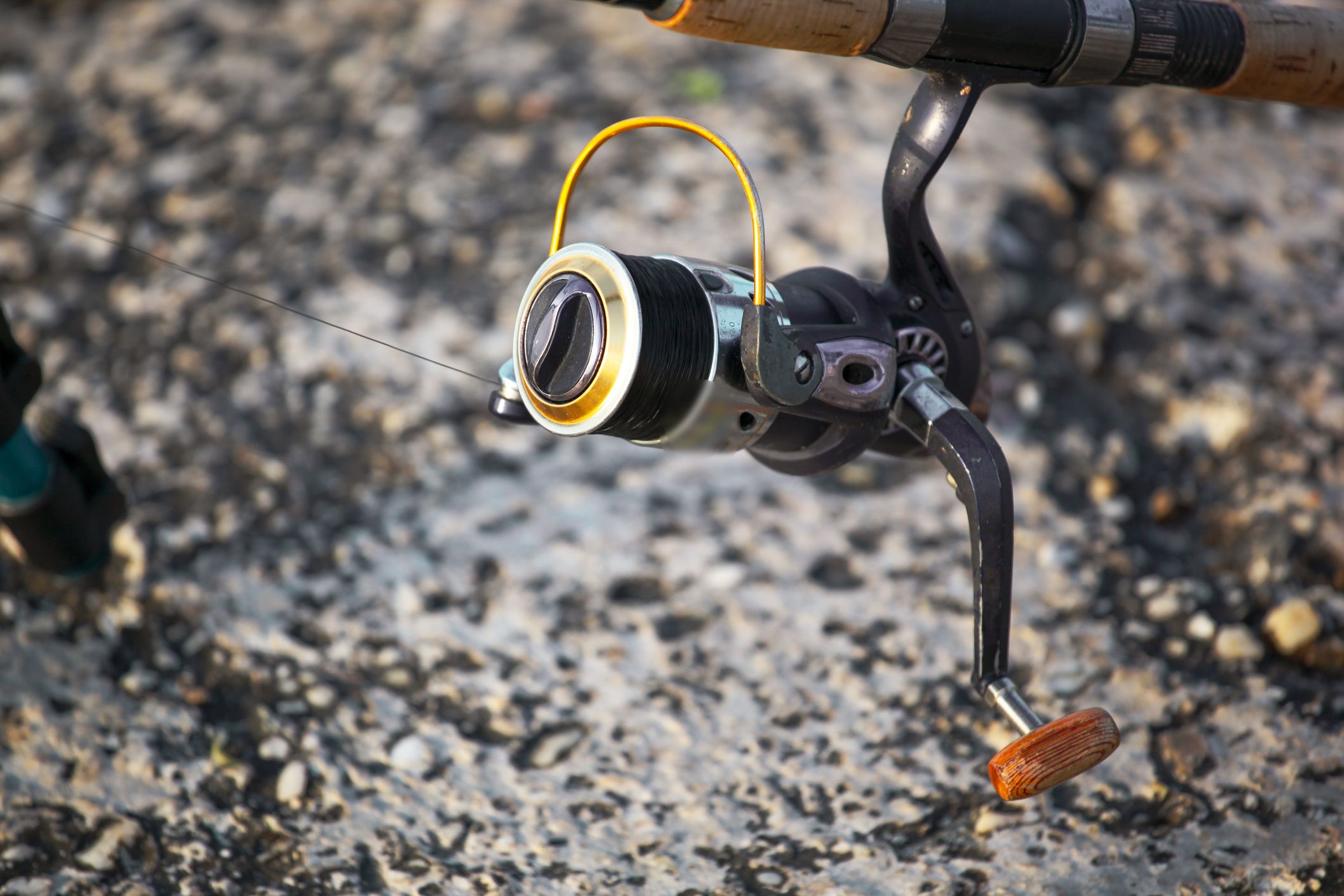 Spinning fishing reel Shimano Sedona 2500S, Sports Equipment
