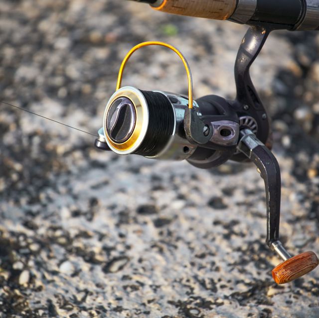 How to choose a Shimano fishing rod and reel combo, Fishing Gear