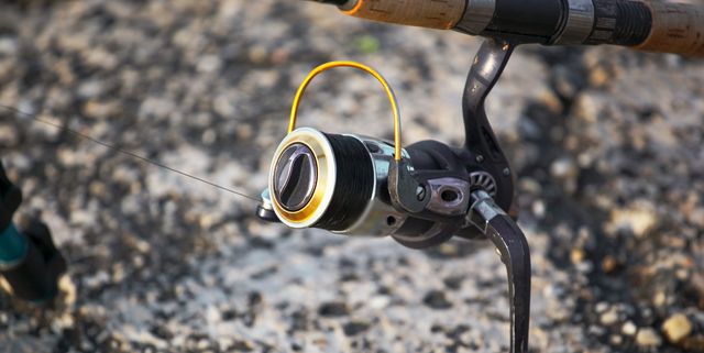 High Quality Spinning Reel: Worth Investing?