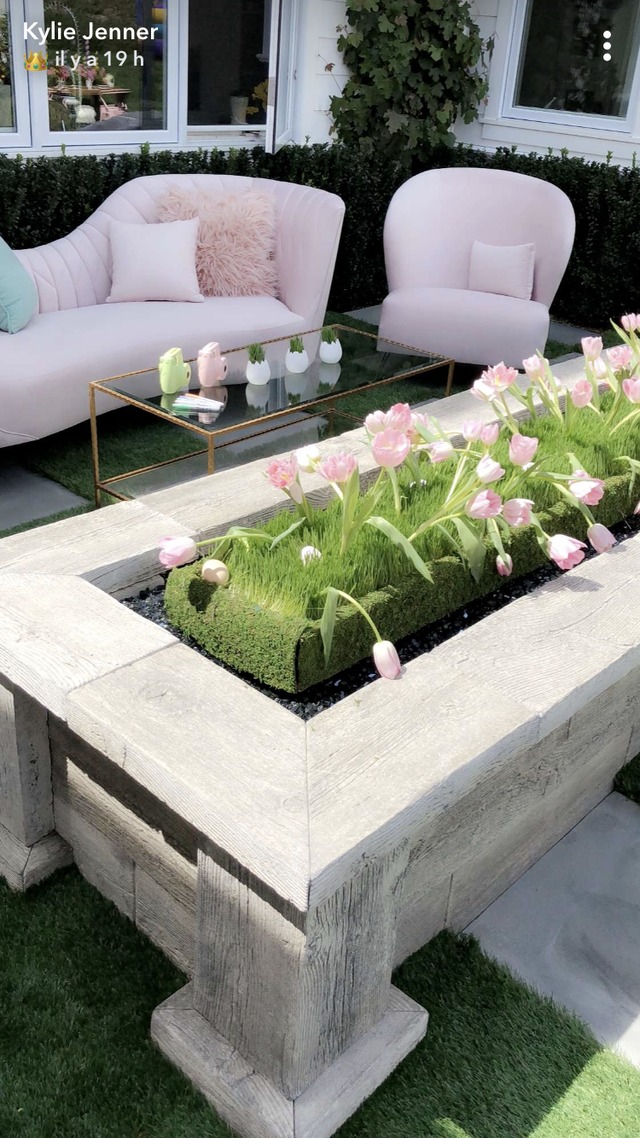 Furniture, Grass, Table, Coffee table, Grass family, Plant, Flower, Outdoor furniture, Garden, Yard, 