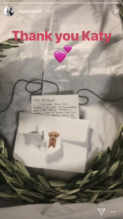 Taylor Swift sharing Katy Perry's olive wreath