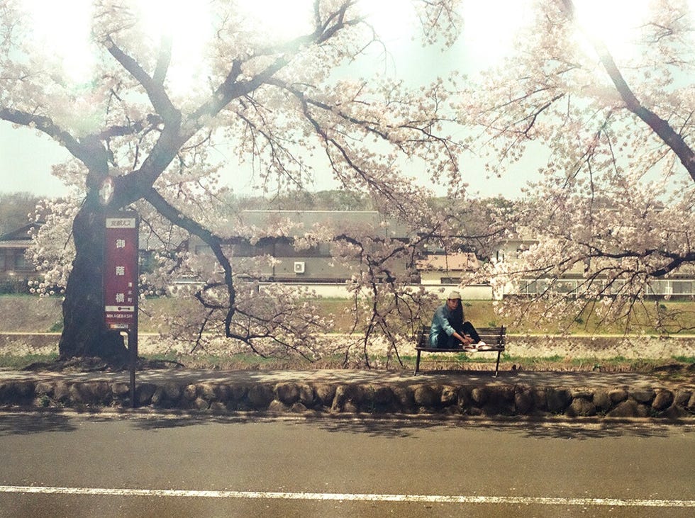 御蔭 トップ 橋 バス