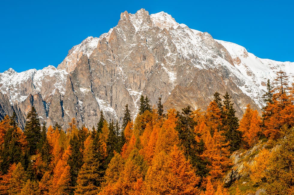 foliage in valle d'aosta