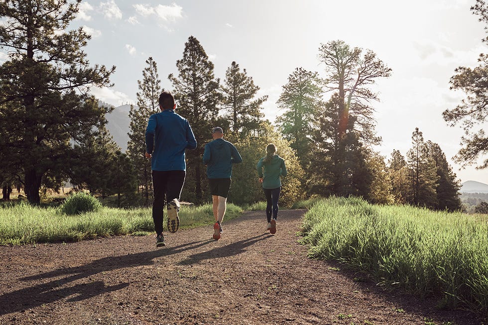 Tree, Sky, Morning, Jogging, Trail, Grass, Walking, Woody plant, Road, Recreation, 