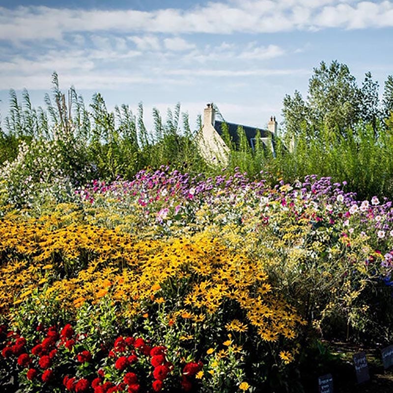 archerfield walled garden