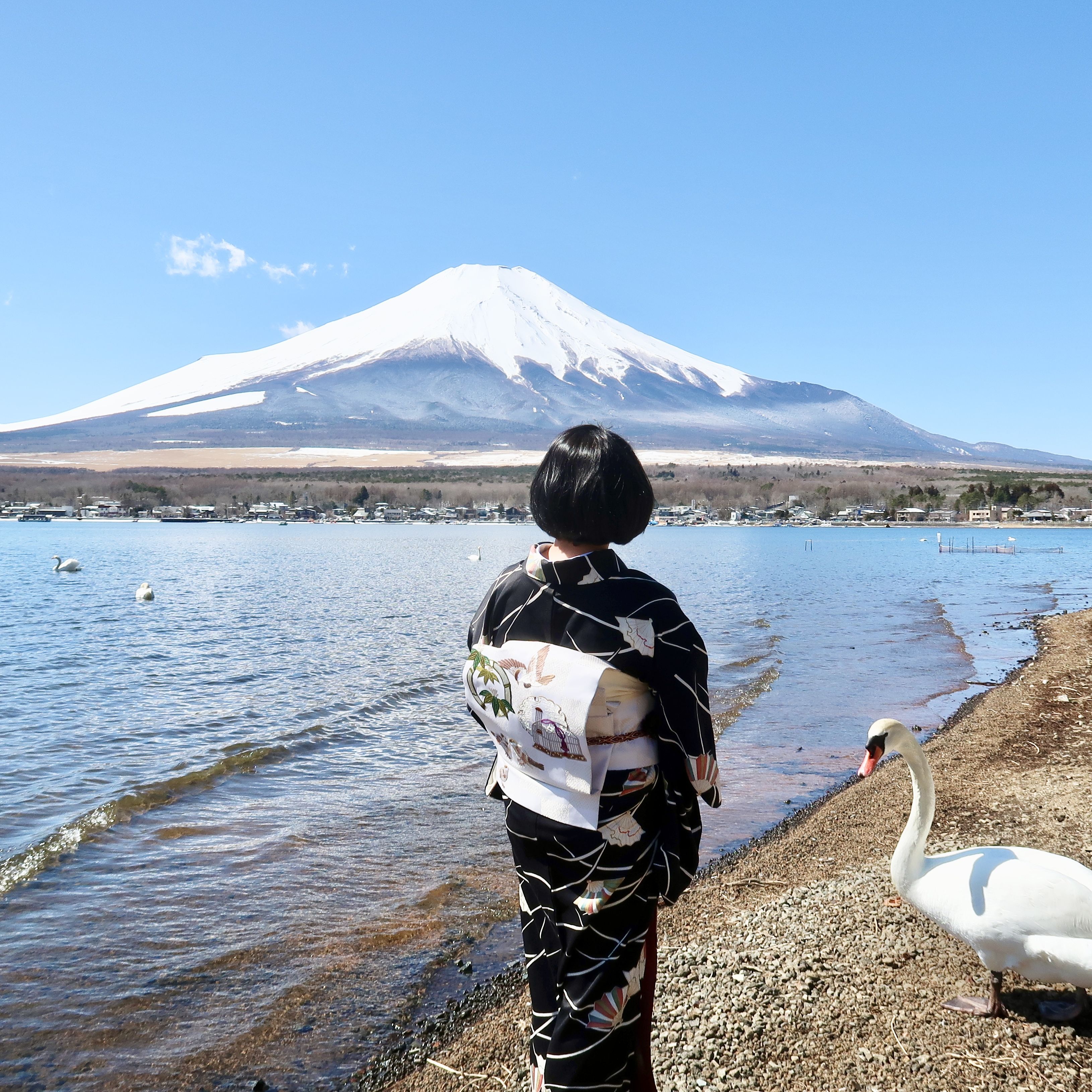 朝香沙都子の着物ダイアリー ｜着物の中の末広がりのフレーム、扇をまとう