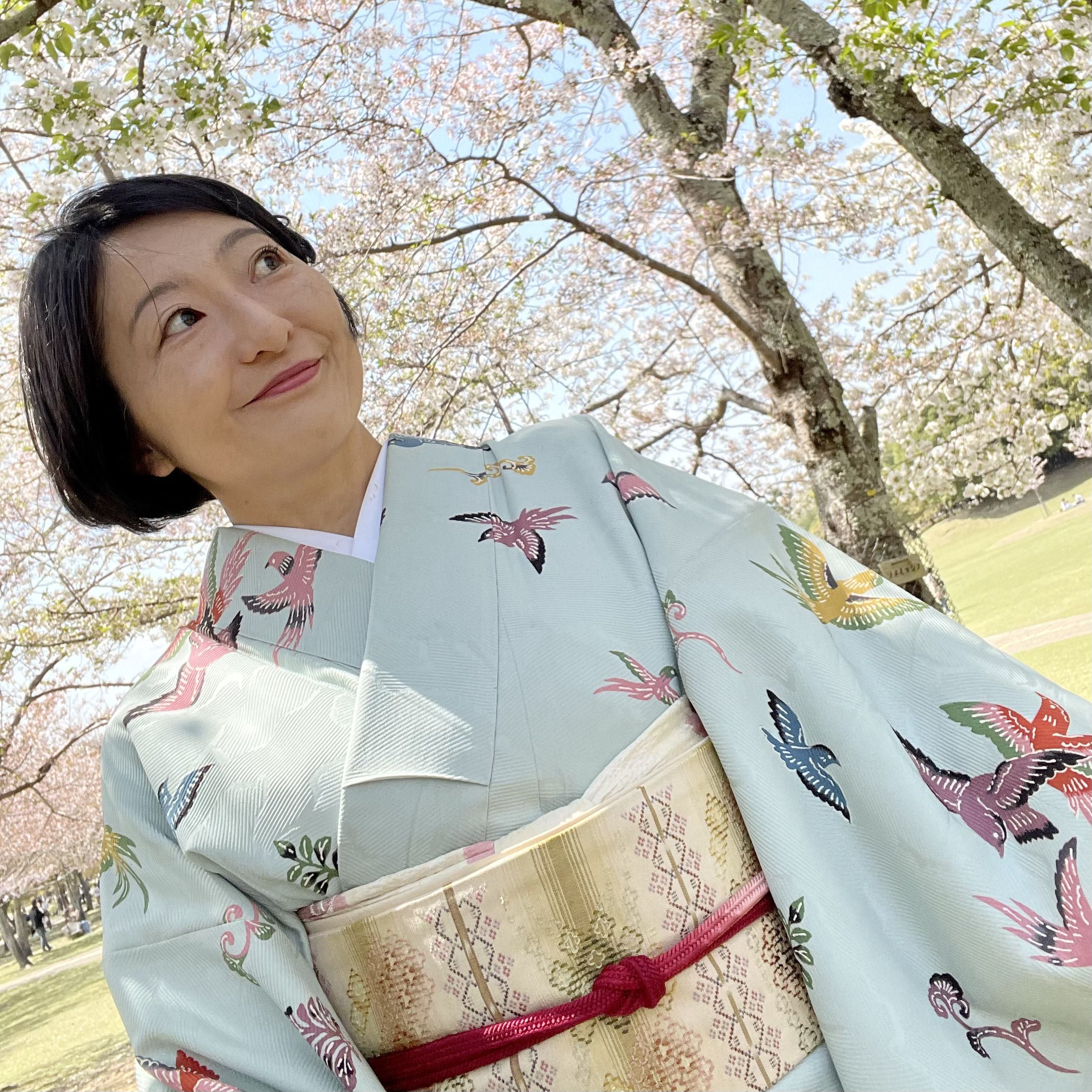 朝香沙都子の着物ダイアリー ｜小さな花をまとう琉球花織の帯