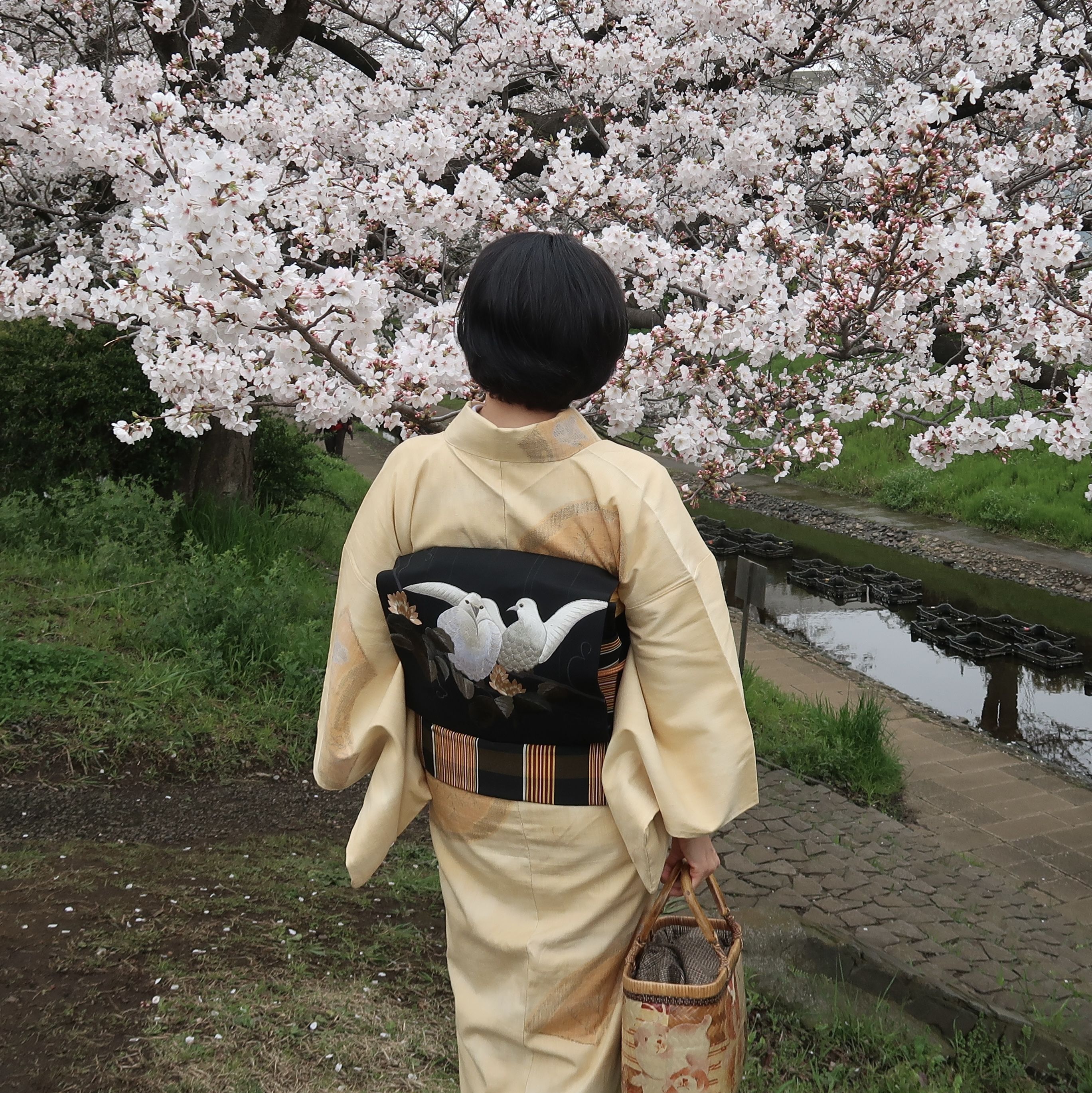 朝香沙都子の着物ダイアリー ｜着物の中の末広がりのフレーム、扇をまとう