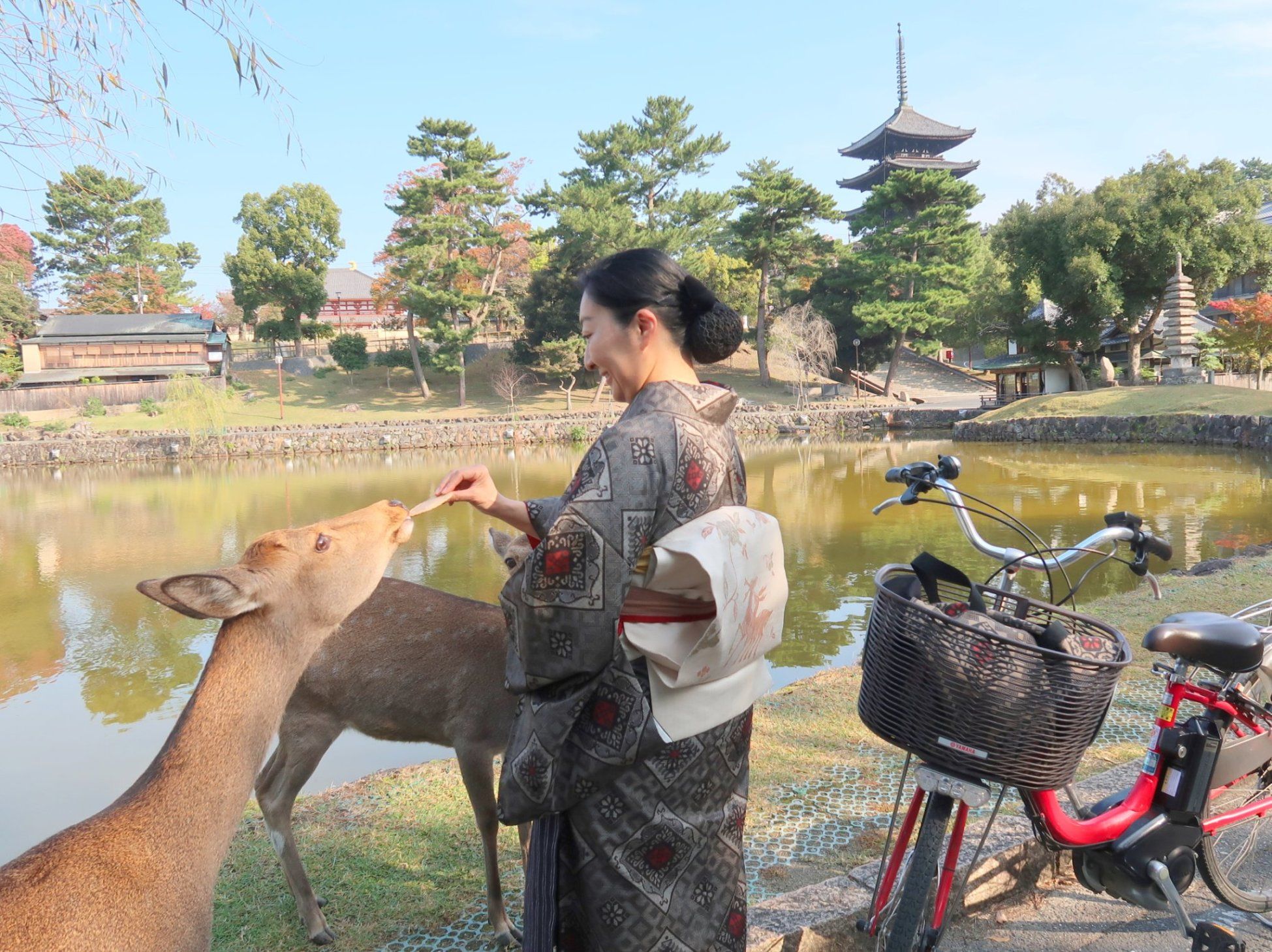 朝香沙都子の着物ダイアリー ｜鹿と遊び、鹿の意匠をまとう