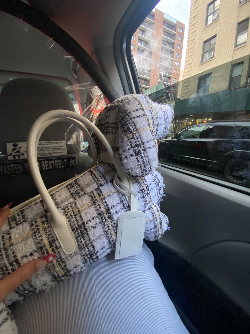 I Wore Six Animal-Shaped Bags to New York Fashion Week and This is What  Happened