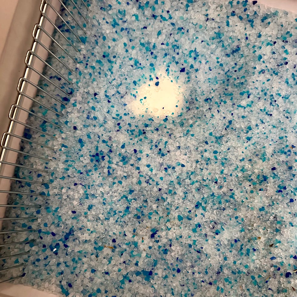 PetSafe crystal litter blue and white petsafe crystal litter in a self cleaning litter box