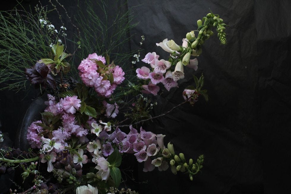 Flower, Plant, Lilac, Flowering plant, Botany, Still life photography, Still life, Bouquet, Lilac, Petal, 
