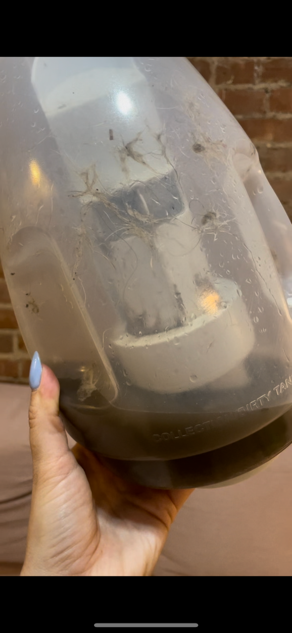Worth It I Tested Bissell's Little Green Carpet Cleaner