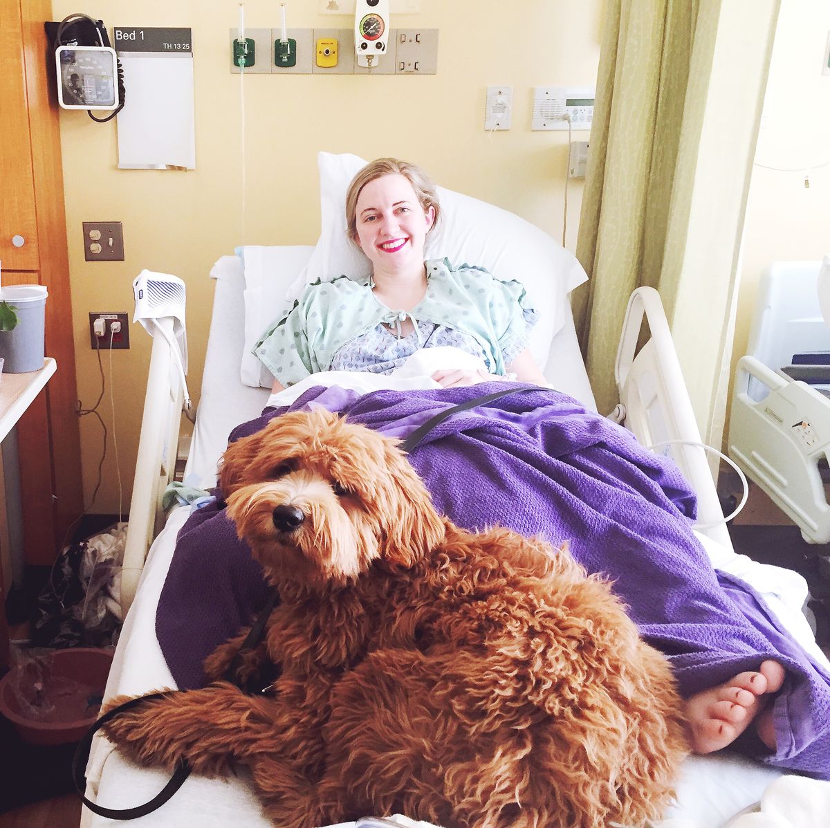 Beth Stebner Ovarian Cancer In Hospital With Dog
