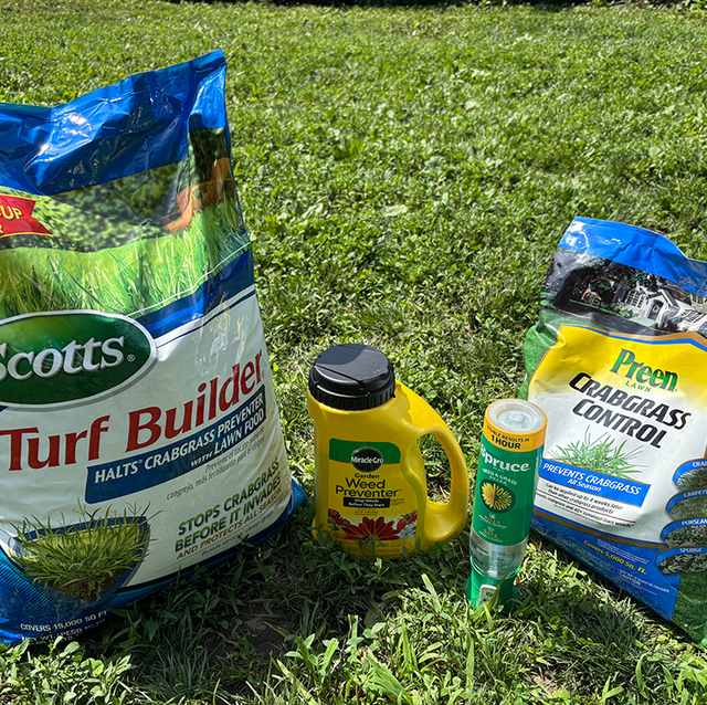 best crabgrass killer best crabgrass killer