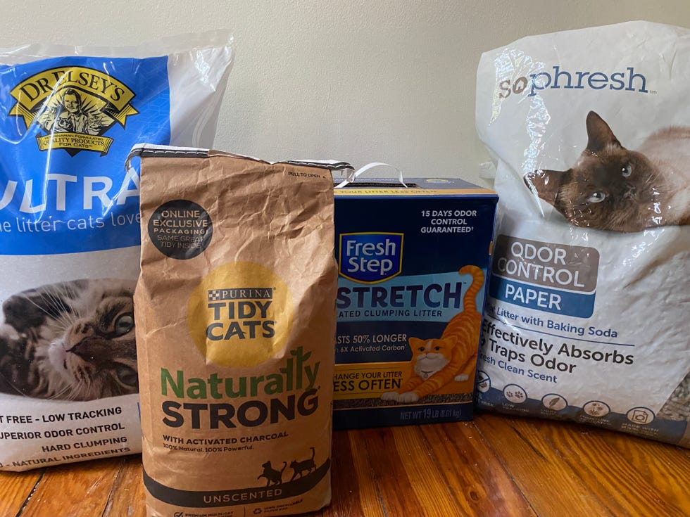 kitty litter testing, boxes and bags of different litters next to each other on a wood surface