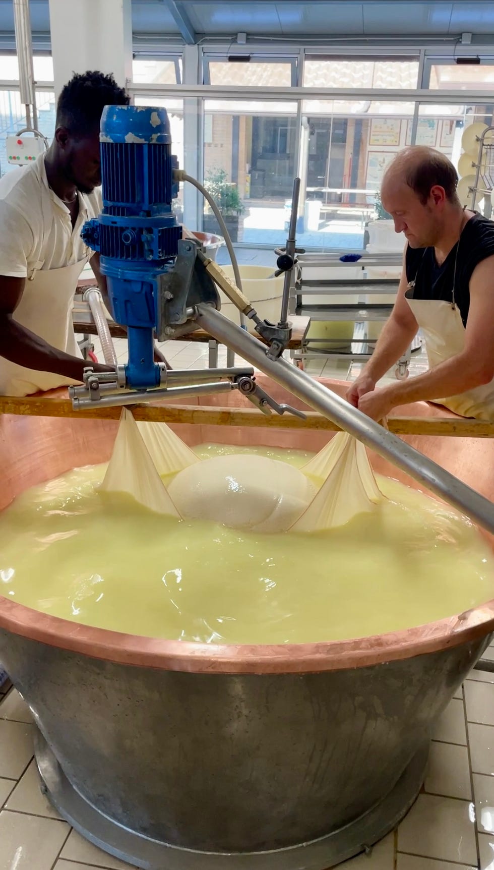 workers processing cheese in a dairy facility