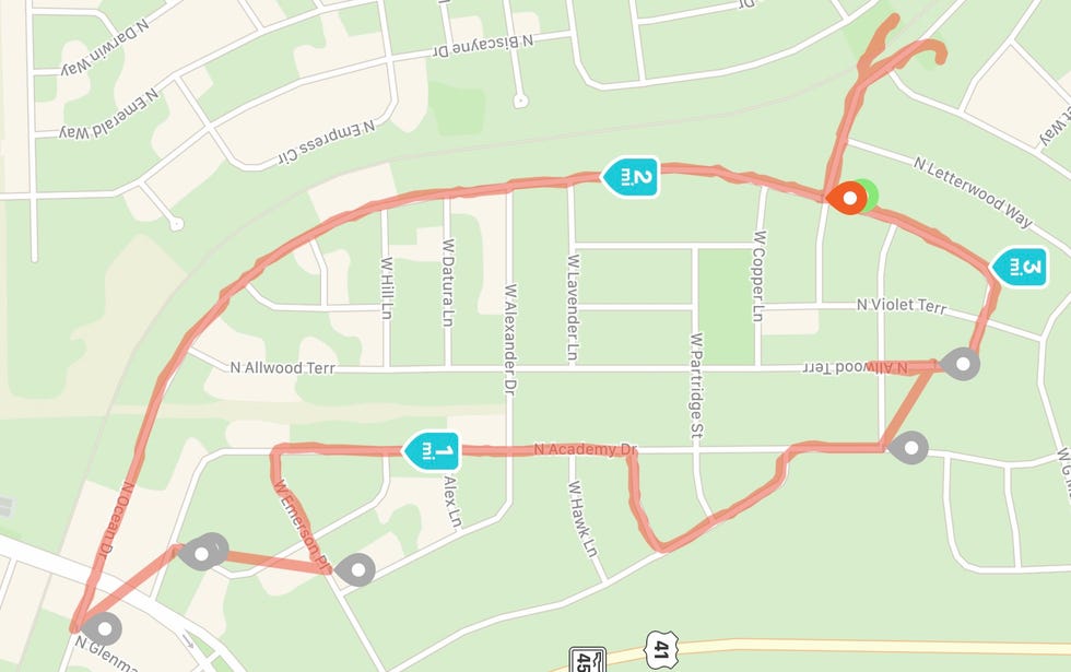 a whale drawn via gps art
