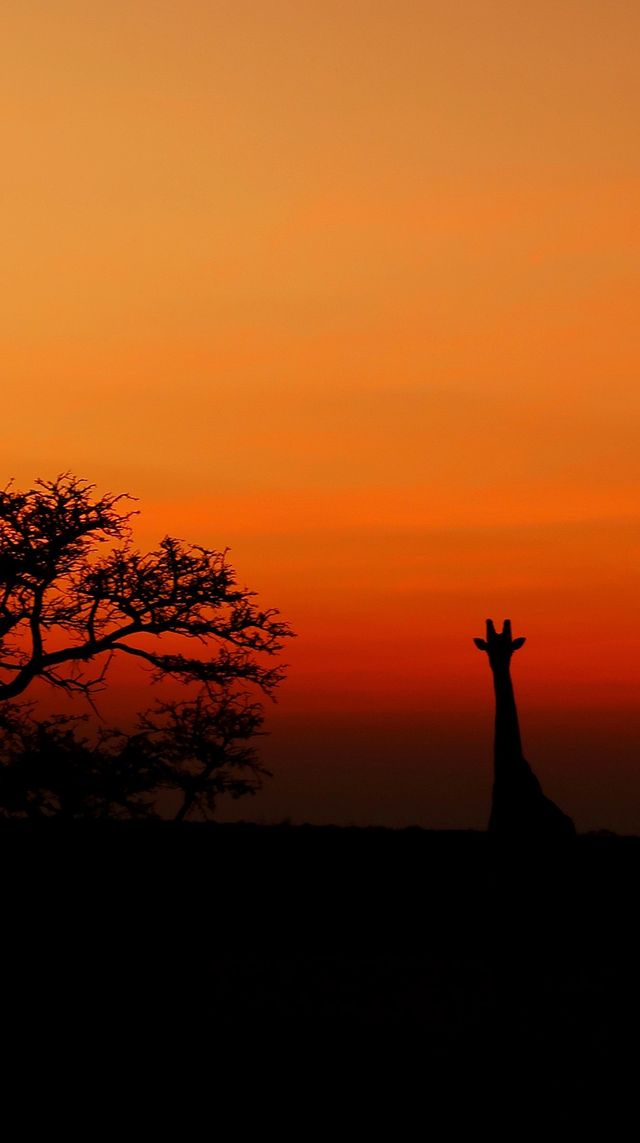 luxury safari travel south africa