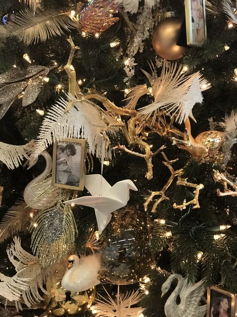Christmas ornament, Christmas tree, Tree, Christmas, Christmas decoration, Design, Ornament, Branch, Winter, Interior design, 