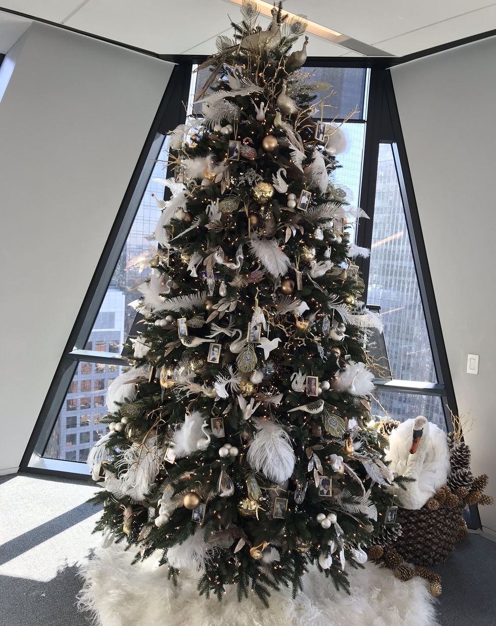 Christmas tree, Tree, Colorado spruce, White, Christmas decoration, Christmas, Woody plant, Plant, balsam fir, Interior design, 