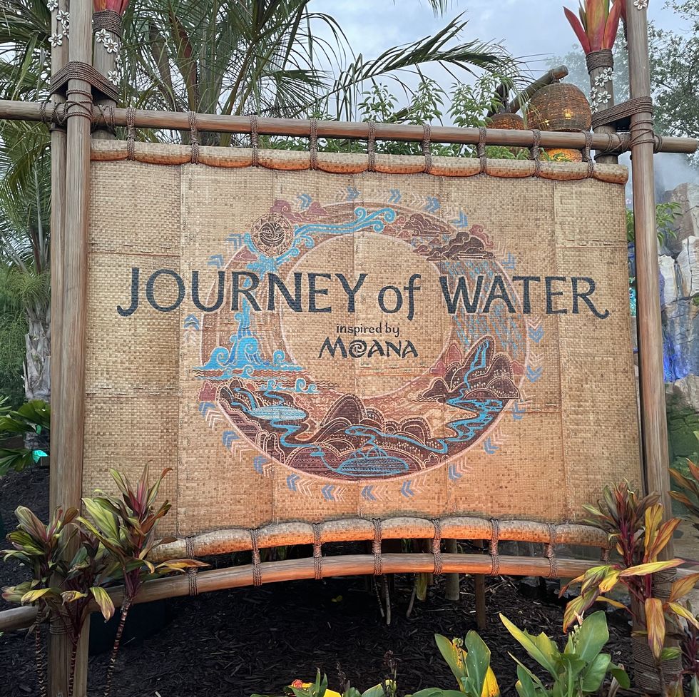 journey of water inspired by moana sign entrance