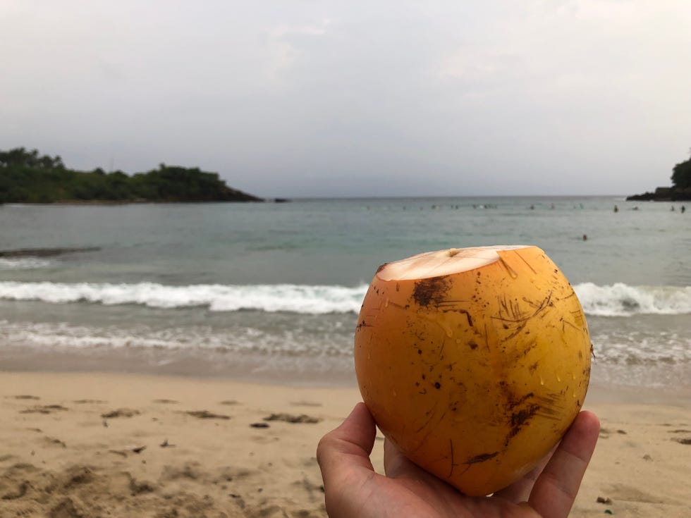 Beach, Sand, Vacation, Wood, Sea, Coconut, Coast, Rock, Ocean, Coconut water, Beach, Sand, Vacation, Wood, Sea, Coconut, Coast, Rock, Ocean, Coconut water,