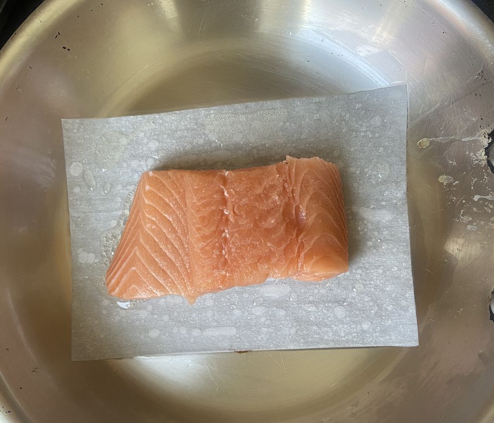 salmon hack tiktok