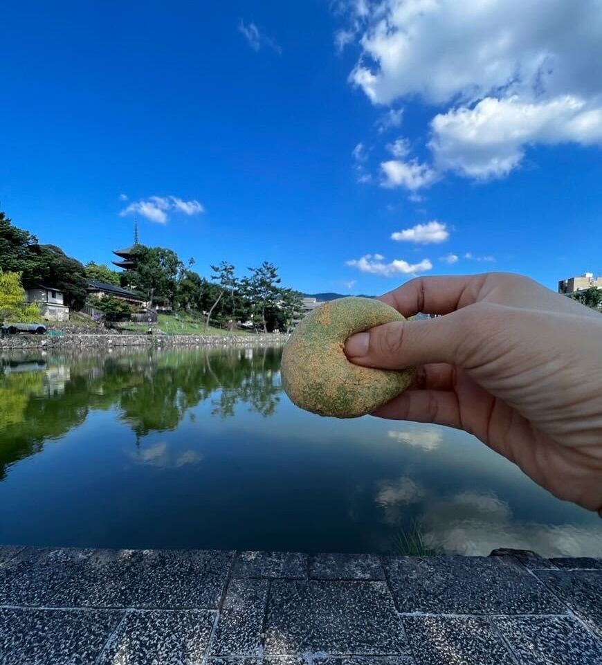 a hand holding a rock above a body of water