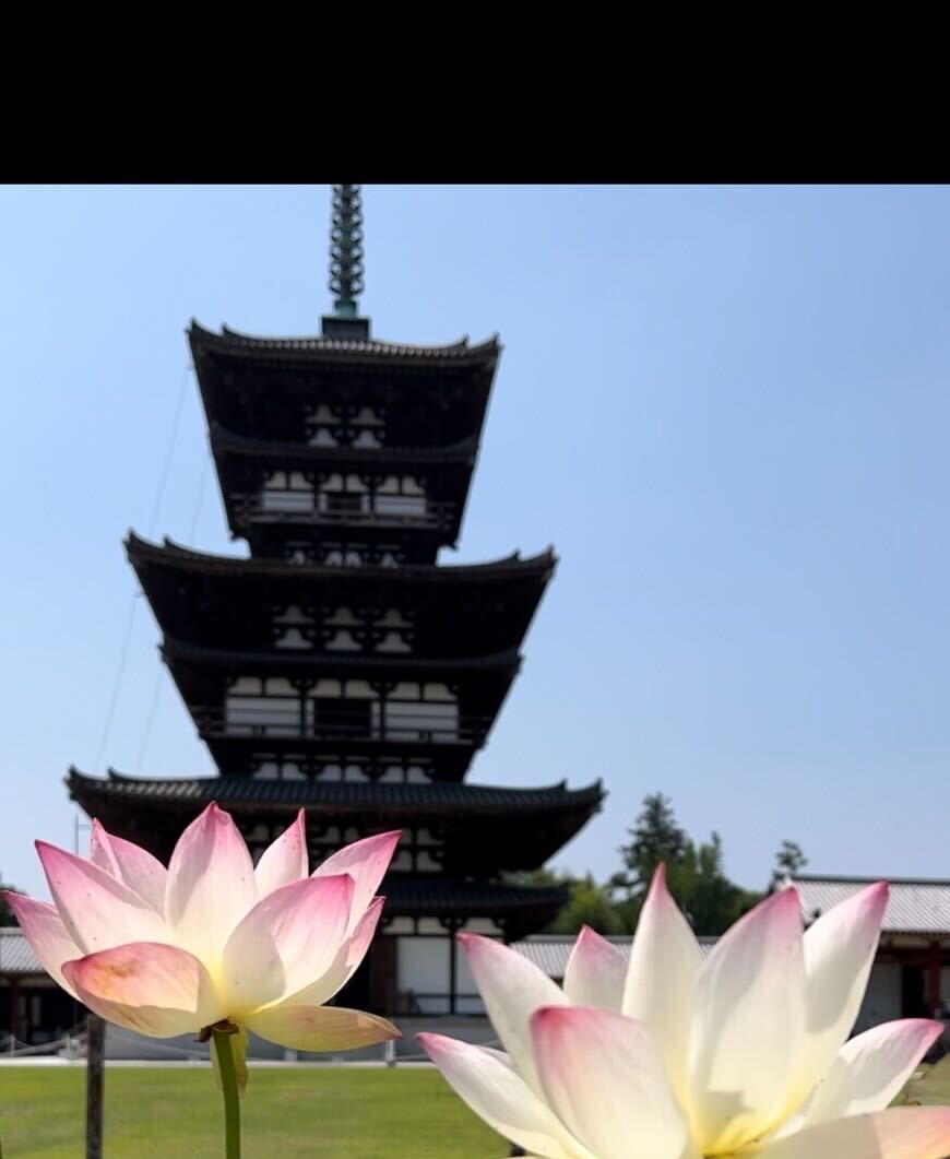a group of flowers in pots in front of a tower