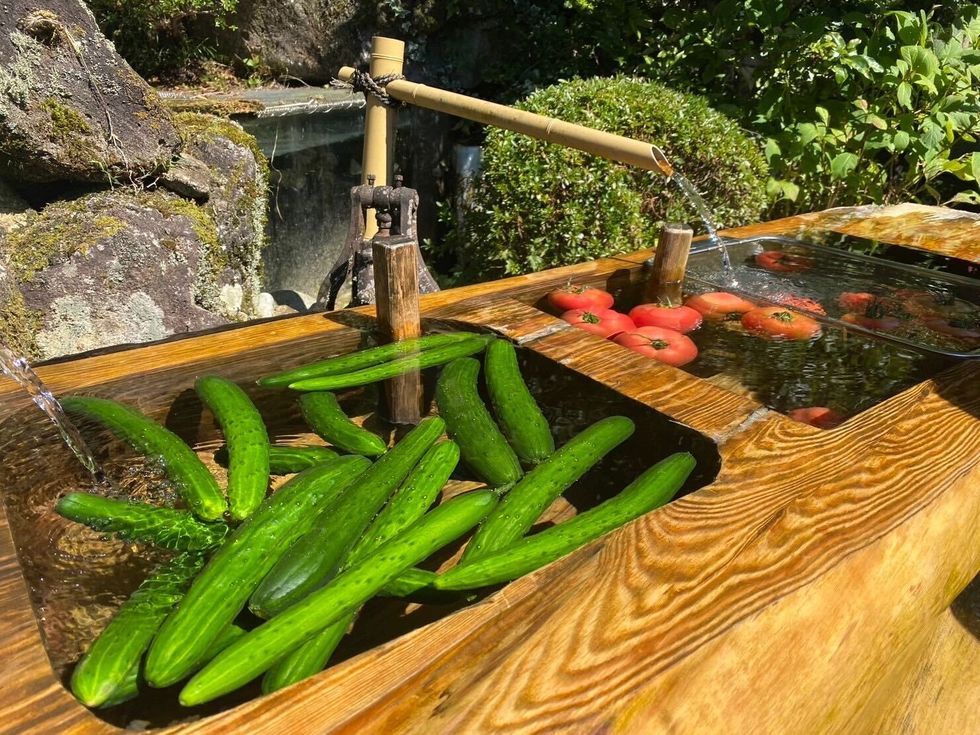 a wooden tray full of green beans