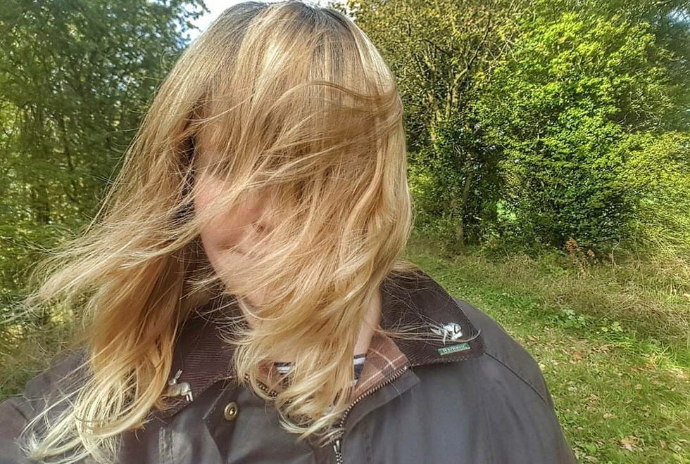 Hair, Blond, Hairstyle, Hair coloring, Long hair, Brown hair, Surfer hair, Layered hair, Step cutting, Feathered hair, 
