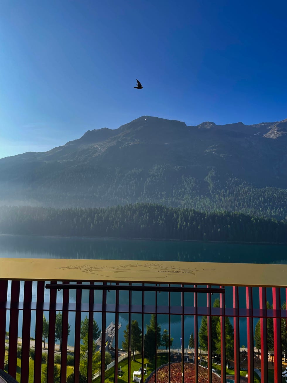 a panoramic view of mountains and a lake from a balcony with a bird flying above