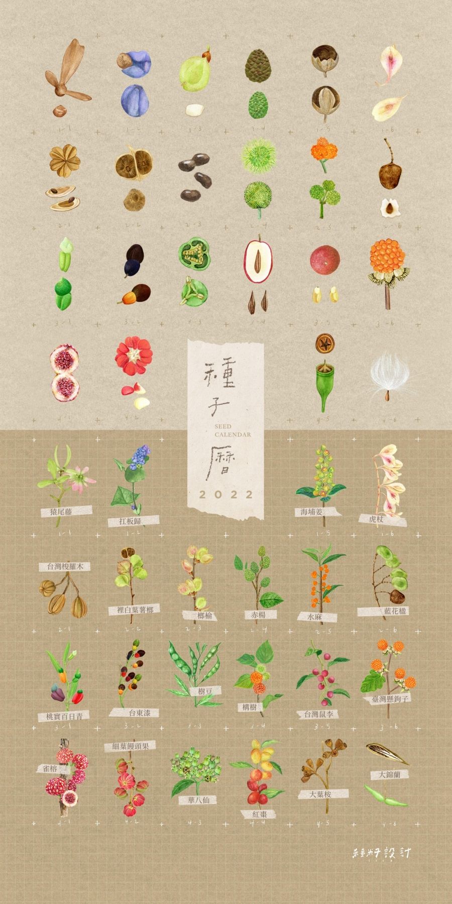 種子曆