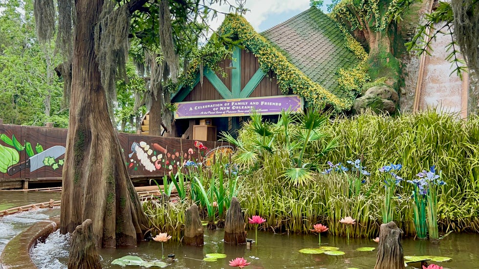 a pond with lily pads and lily pads and a building in the background