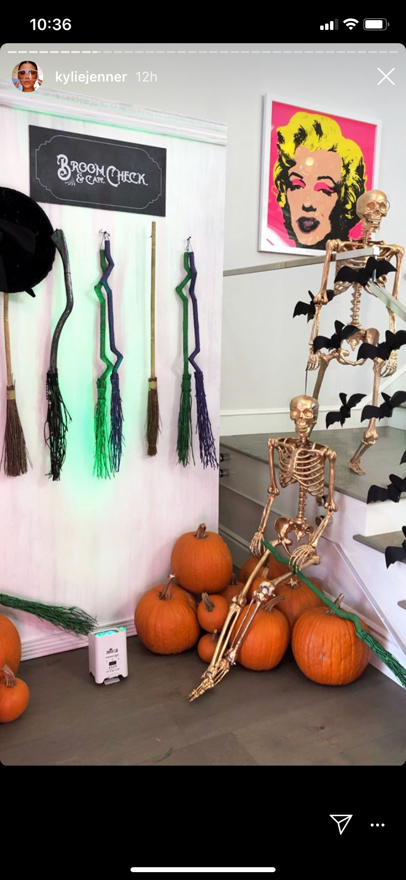 Pumpkin, Orange, Gourd, Plant, Calabaza, Vegetable, 