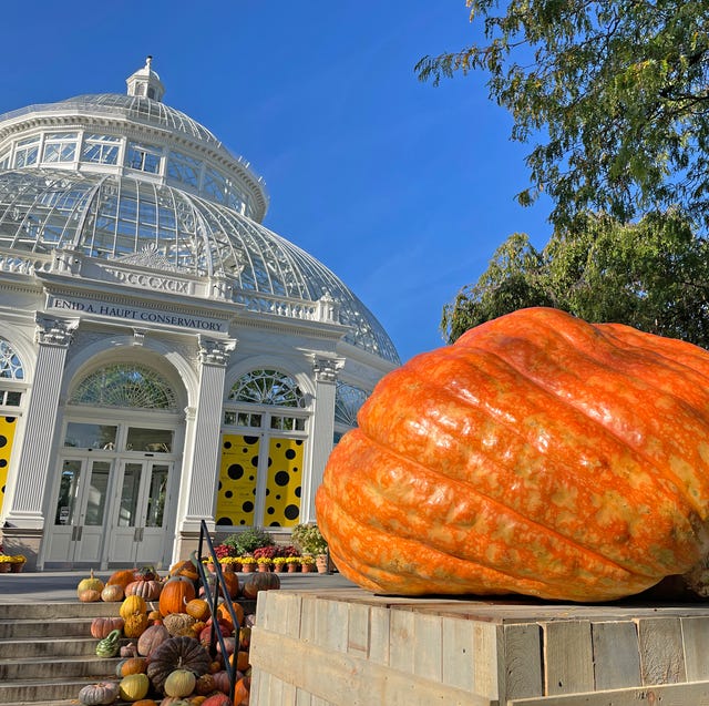 the new york botanical garden pumpkin weekend