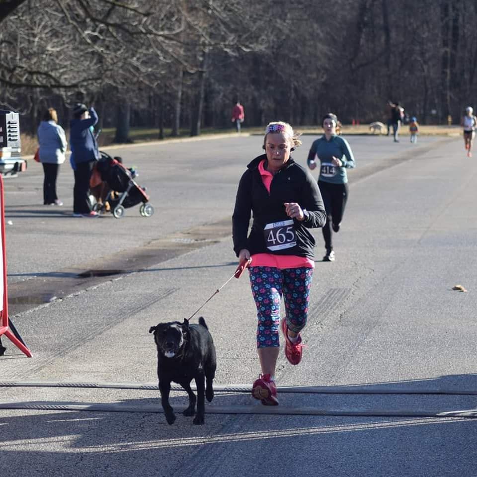 can a dog run a marathon