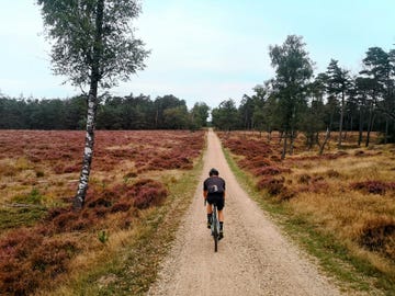 kroondomein het loo sluiting