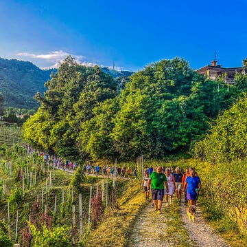 a group of people walking on a path in a forest a group of people walking on a path in a forest