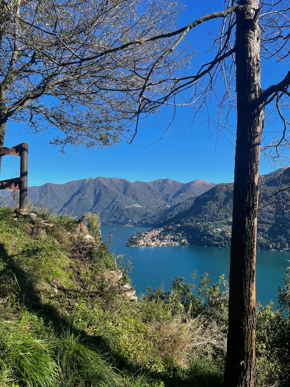 the lake