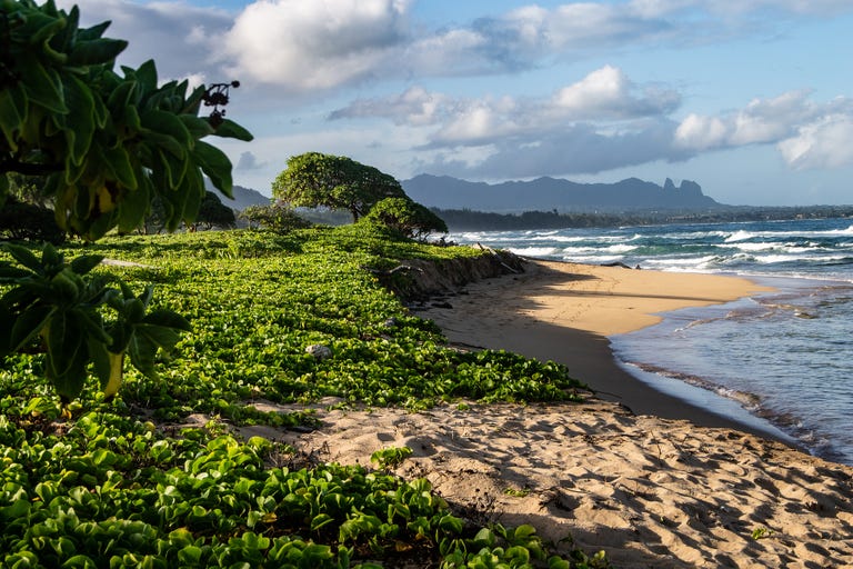 how to visit hawaii ethically