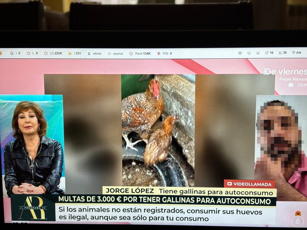 ana rosa quintana gallinas