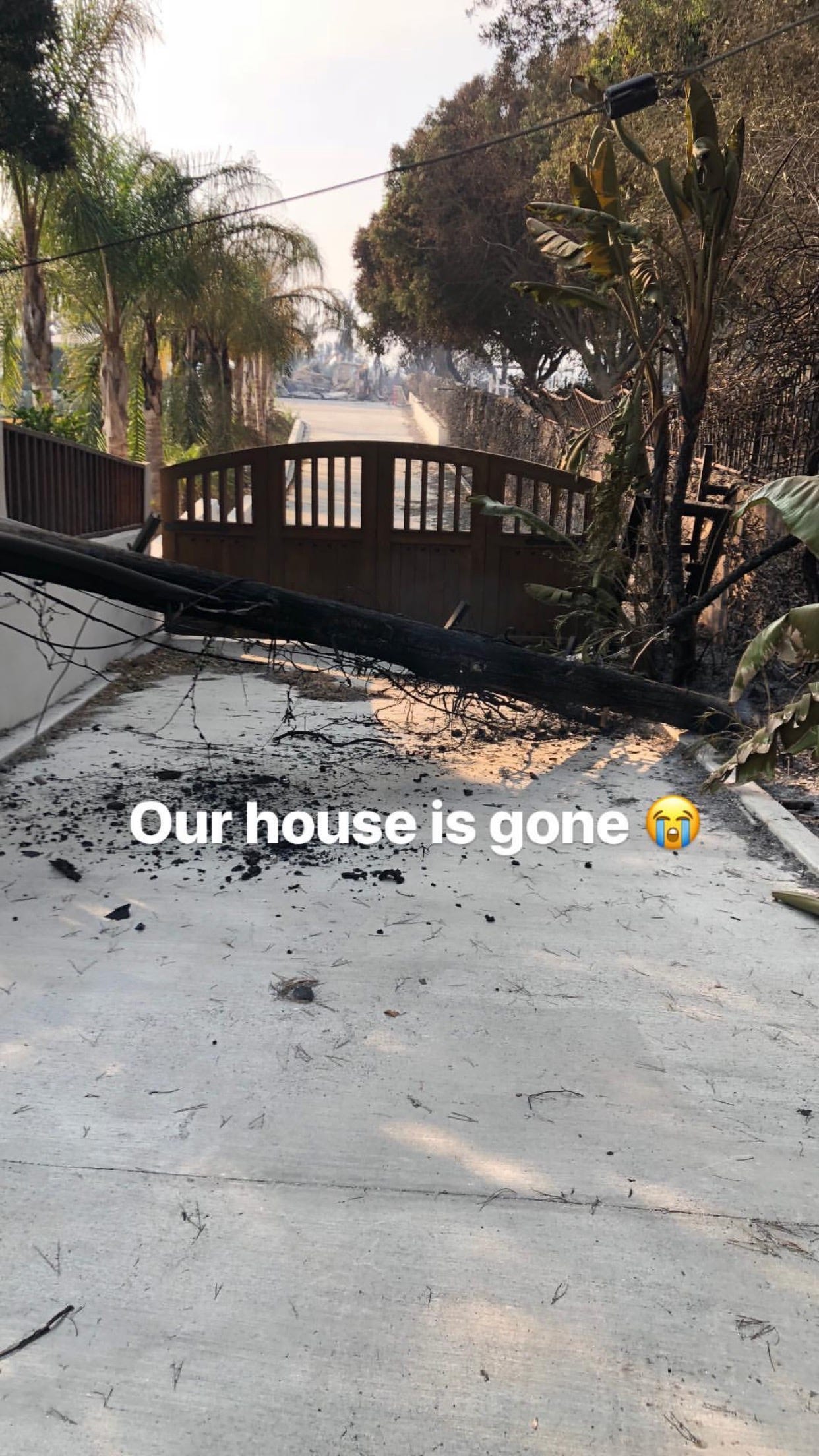 Celebrities Affected by California Fire - Lady Gaga, Bella Hadid, Miley Cyrus, Bachelor Mansion