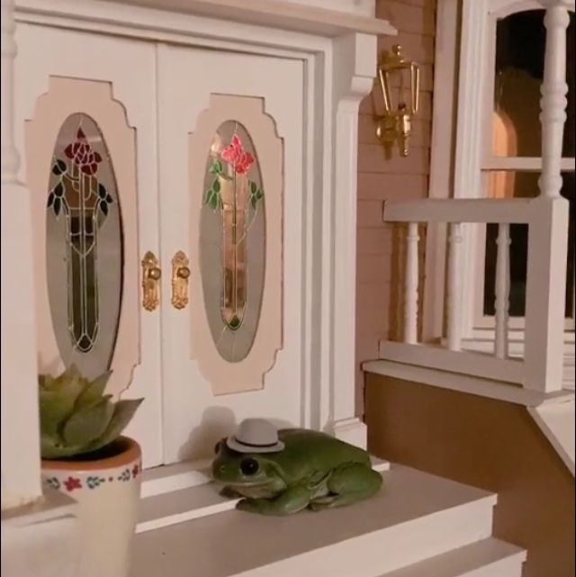 a tiktok video shows a frog living it up in a dollhouse