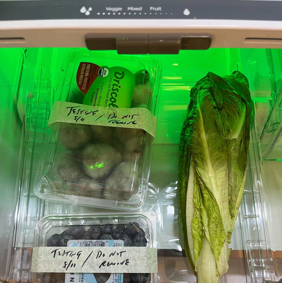 a cripser drawer holding a head of romaine lettuce and a clamshell of blueberries and strawberries, each of which is labeled testing do not remove