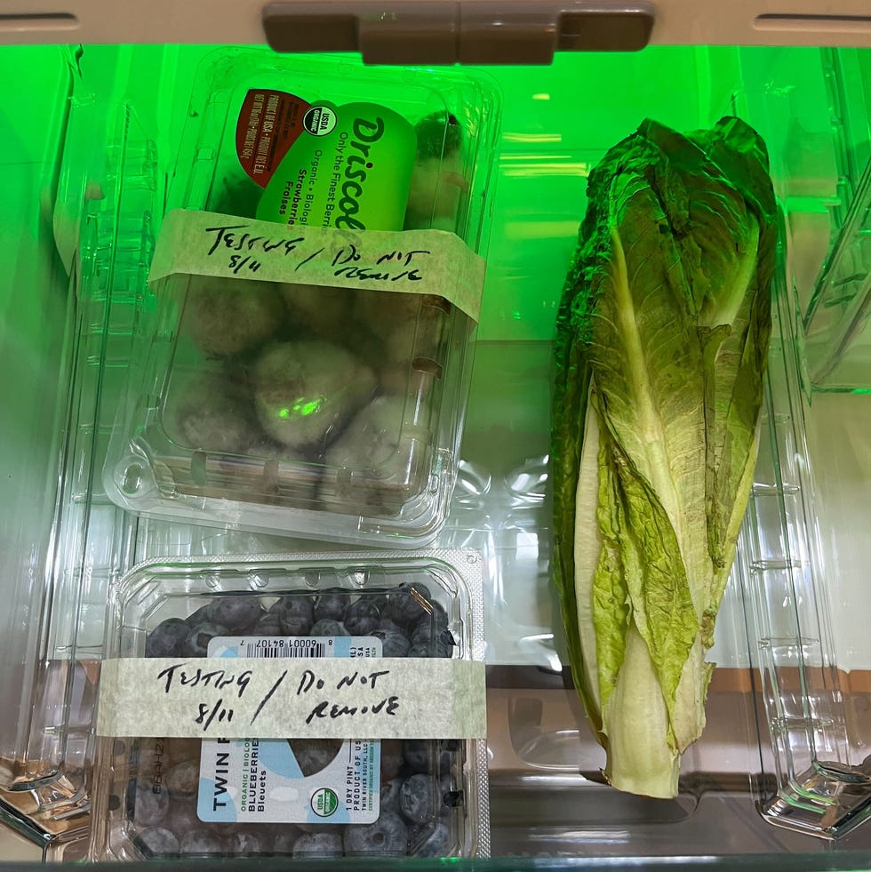 best refrigerator brands a cripser drawer holding a head of romaine lettuce and a clamshell of blueberries and strawberries, each of which is labeled testing do not remove
