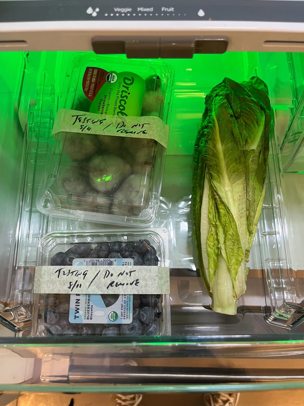 a cripser drawer holding a head of romaine lettuce and a clamshell of blueberries and strawberries, each of which is labeled testing do not remove